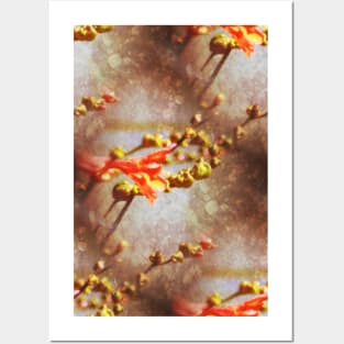 Crocosmia flowers by the Methodist church in Rainier pattern Posters and Art